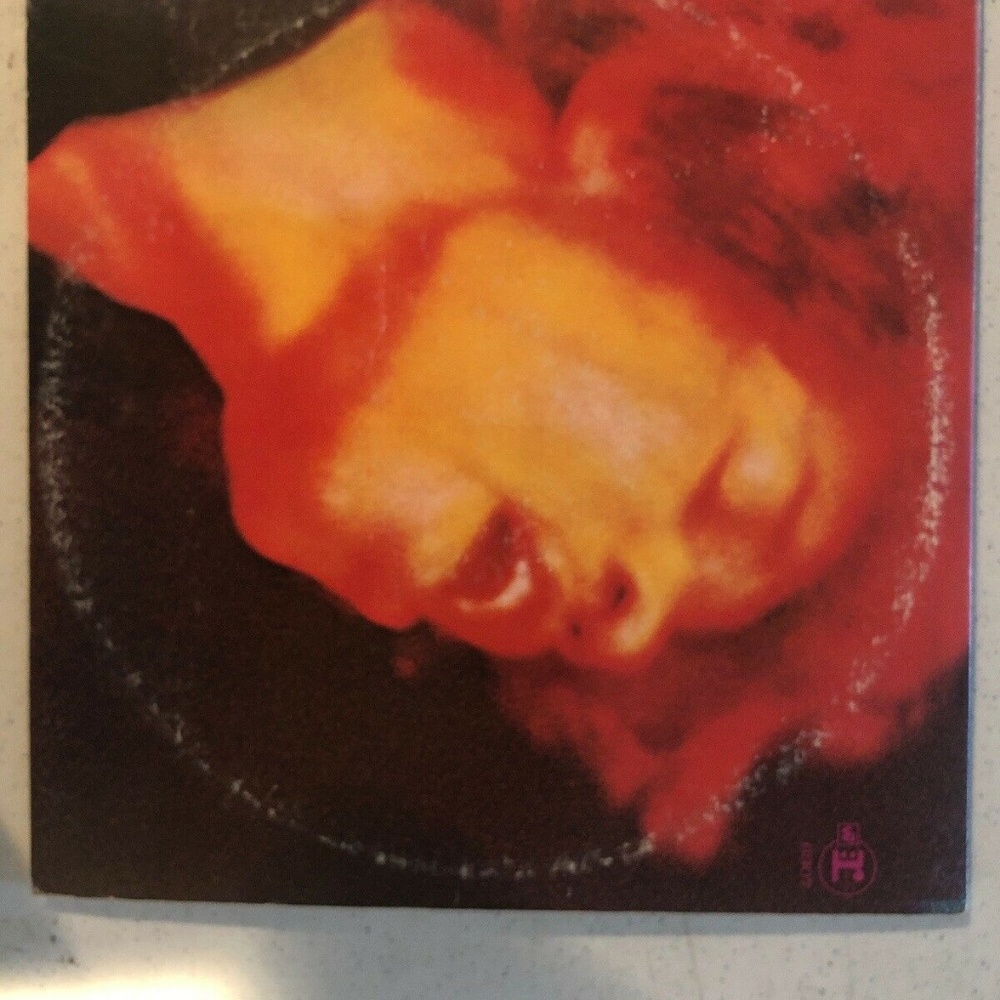 Jimi Hendrix Experience Electric Ladyland Vinyl 2L